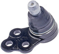Lower Ball Joint   FVP   BJ55125