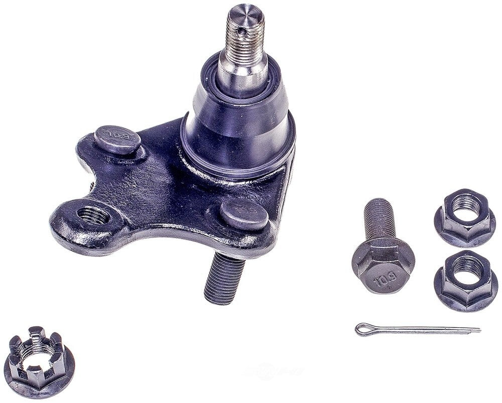 Lower Ball Joint   FVP   BJ74335