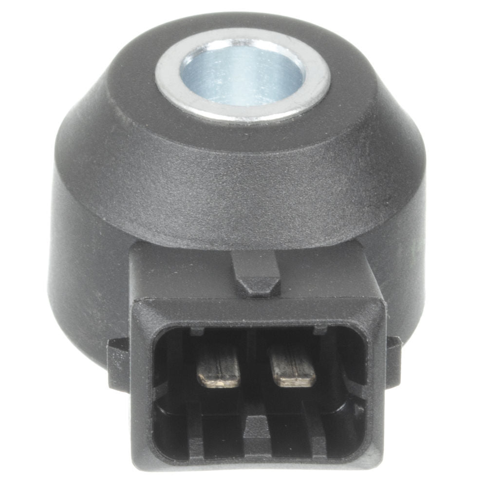 Knock Sensor   Holstein   2KNC0130