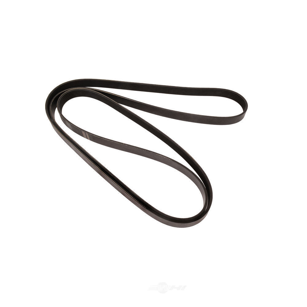 Serpentine Belt   FVP   1360K6