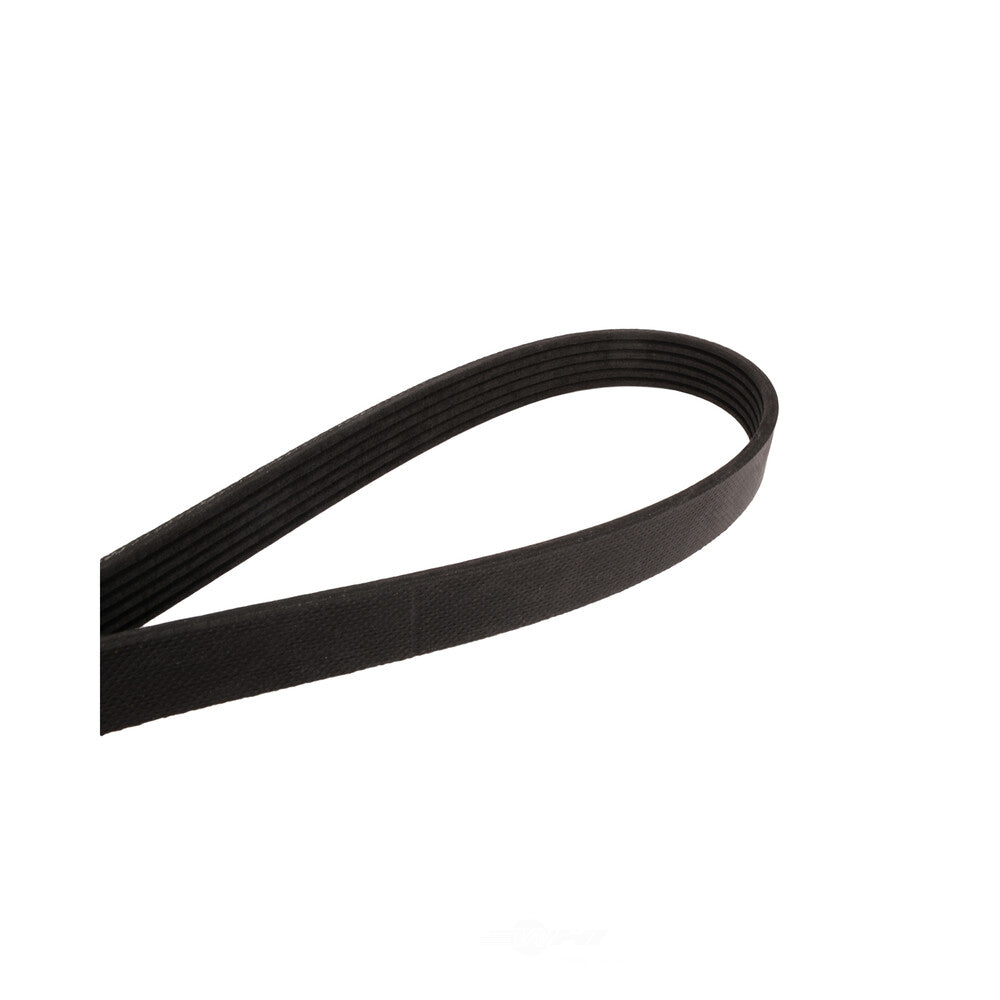 Serpentine Belt   FVP   845K6