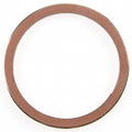 Exhaust Pipe Ring Gasket   Fel-Pro   61386