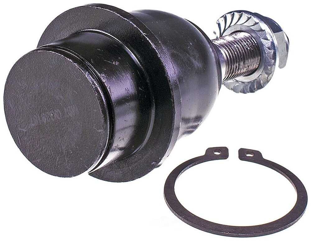 Lower Ball Joint   FVP   BJ82495