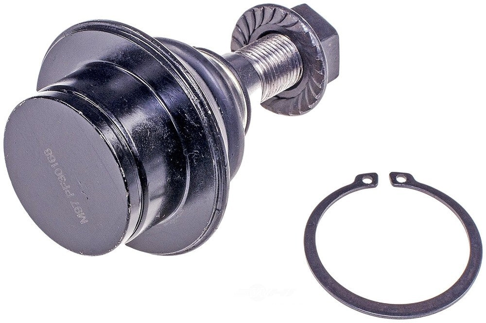 Lower Ball Joint   FVP   BJ21025