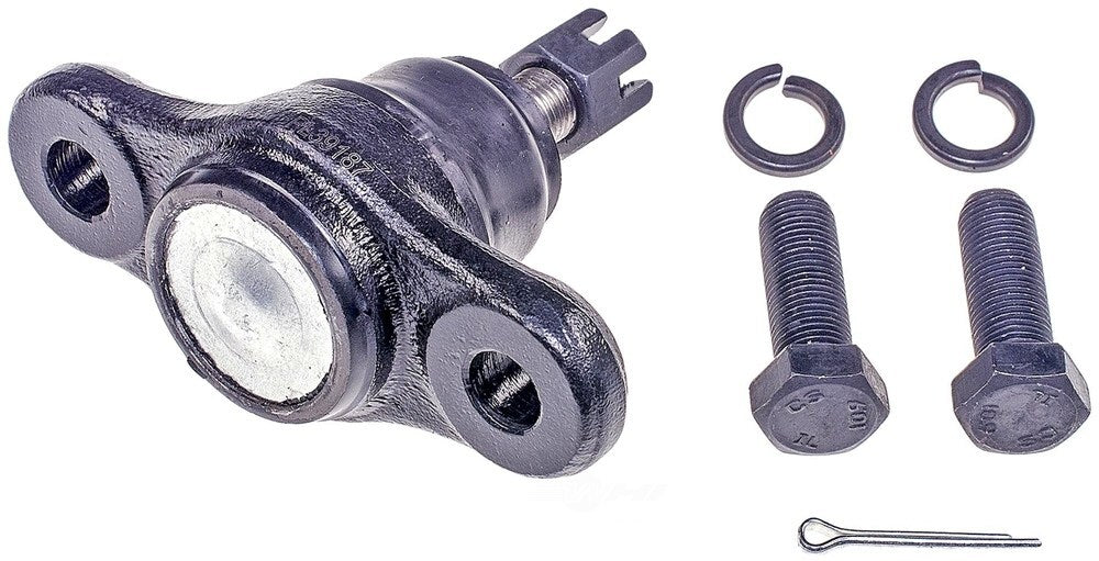 Lower Ball Joint   FVP   BJ63065