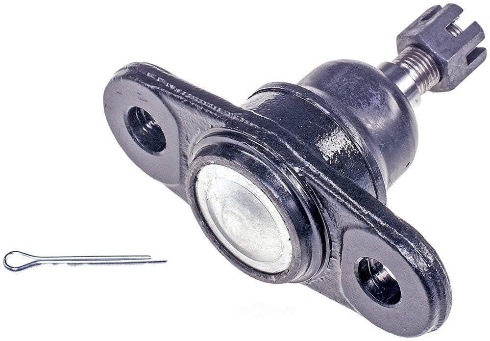 Lower Ball Joint   FVP   BJ60065