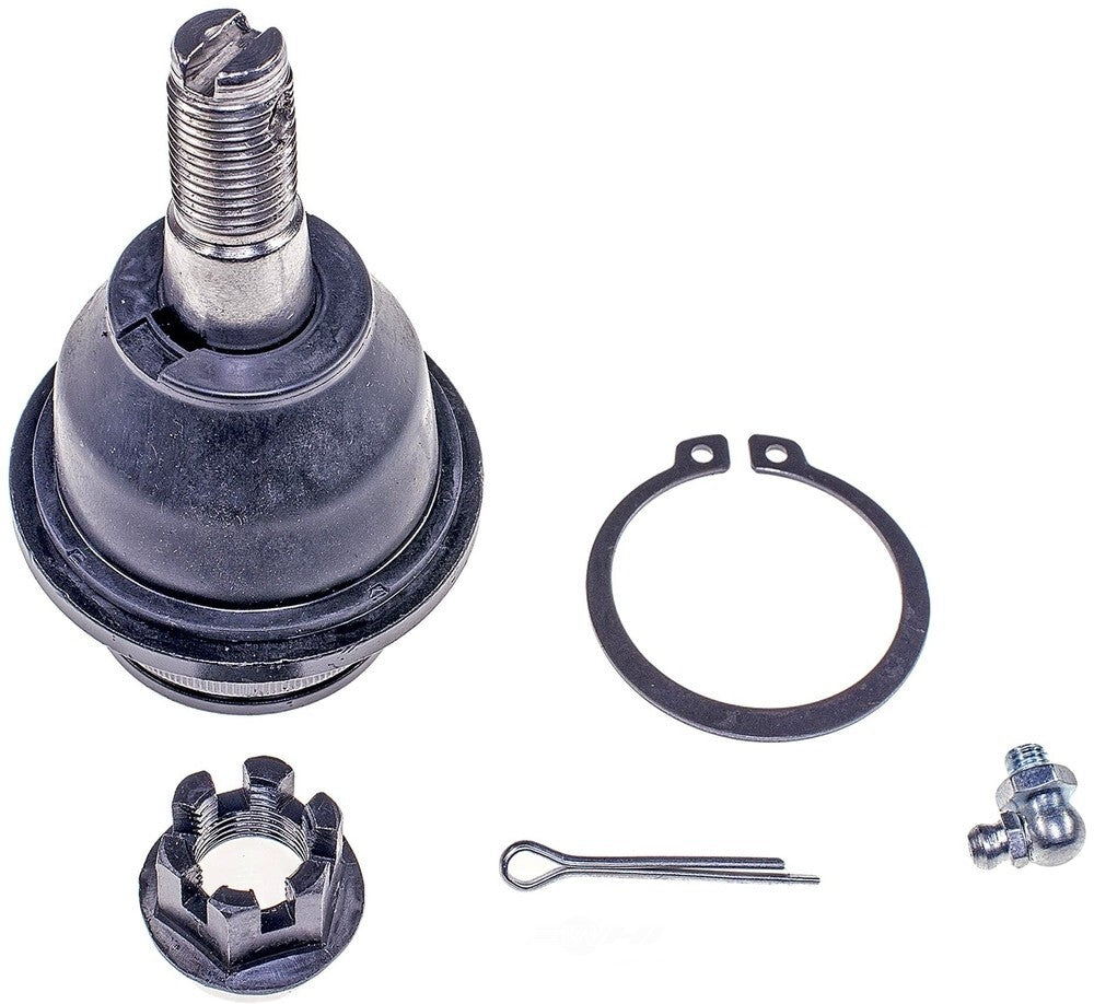 Lower Ball Joint   FVP   BJ81105