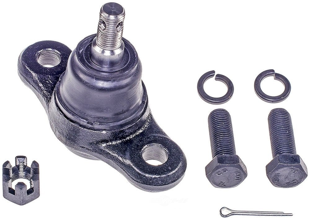 Lower Ball Joint   FVP   BJ63065