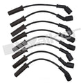 Ignition Wire Set  Walker Products  924-1829