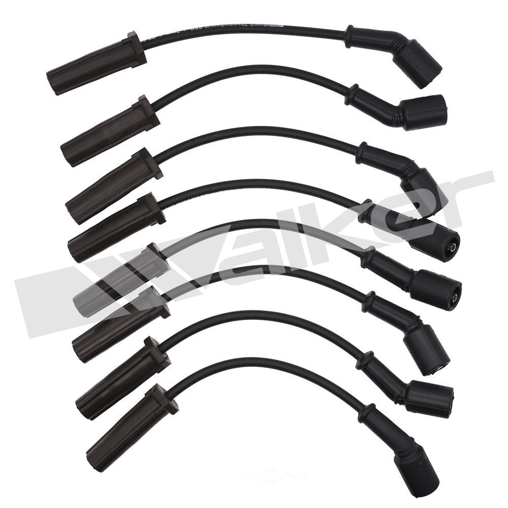 Ignition Wire Set  Walker Products  924-1829