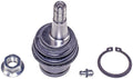Lower Ball Joint   FVP   BJ81285