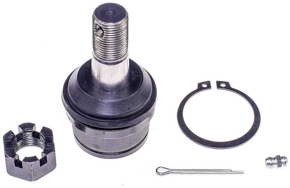 Lower Ball Joint   FVP   B8431