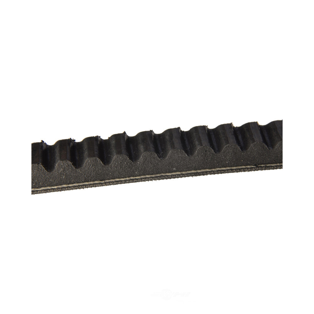 FVP   15585 V-Belt