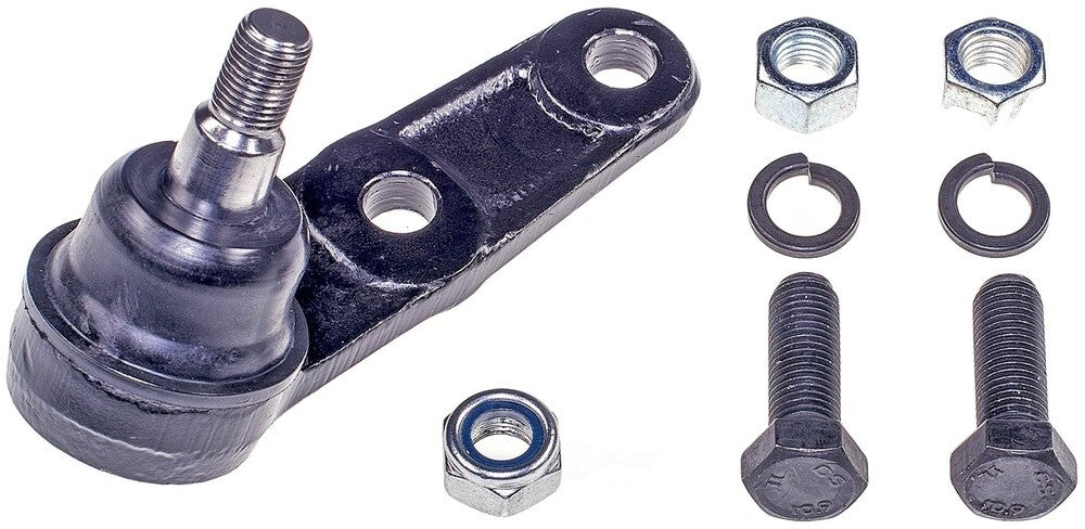 Lower Ball Joint   FVP   BJ55005