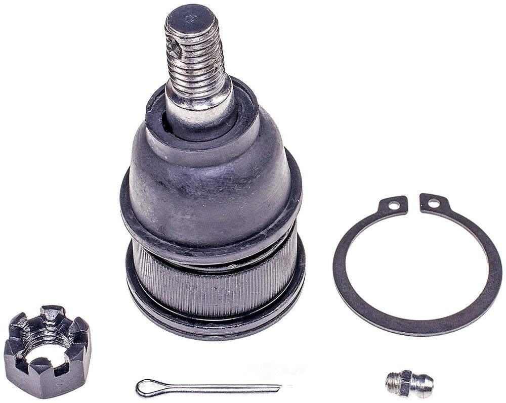 Lower Ball Joint   FVP   BJ59255