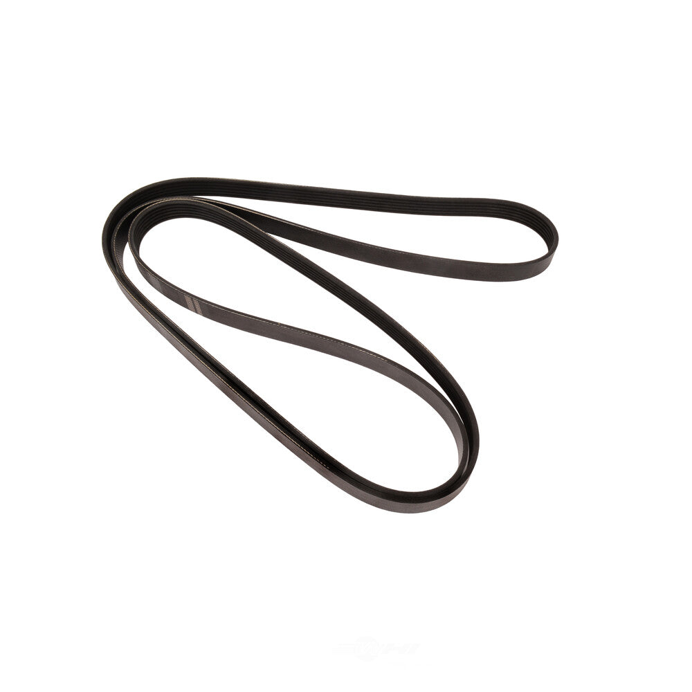 Serpentine Belt   FVP   845K6
