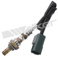 Oxygen Sensor  Walker Products  250-24448