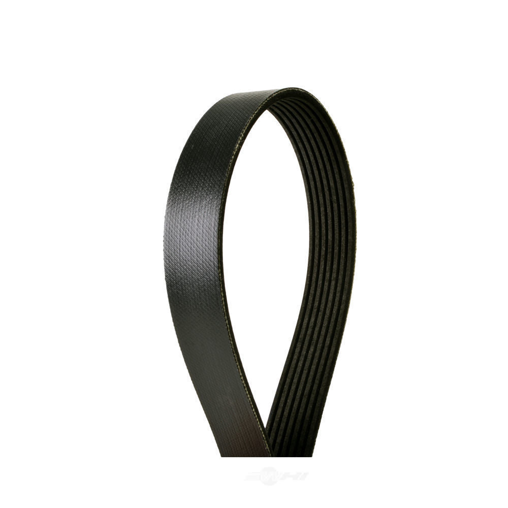 Serpentine Belt   FVP   875K7