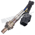 Oxygen Sensor  Walker Products  250-25056