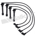 Ignition Wire Set  Walker Products  924-1206