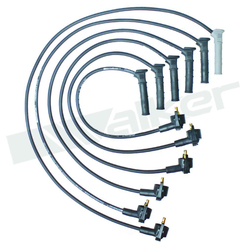 Ignition Wire Set  Walker Products  924-1938