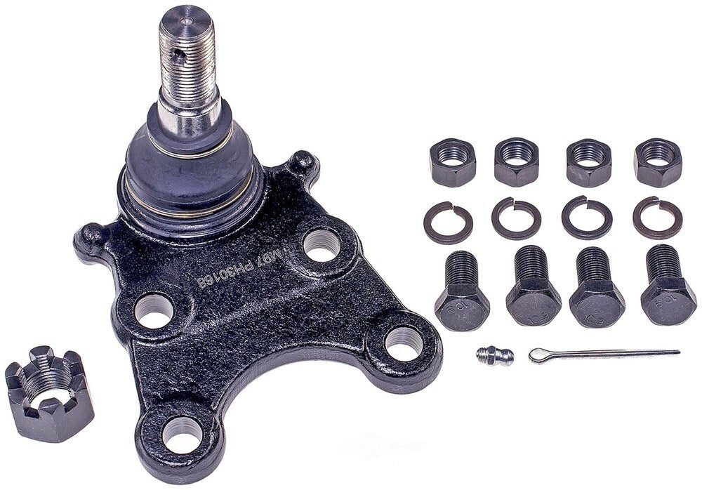 Lower Ball Joint   FVP   BJ62055