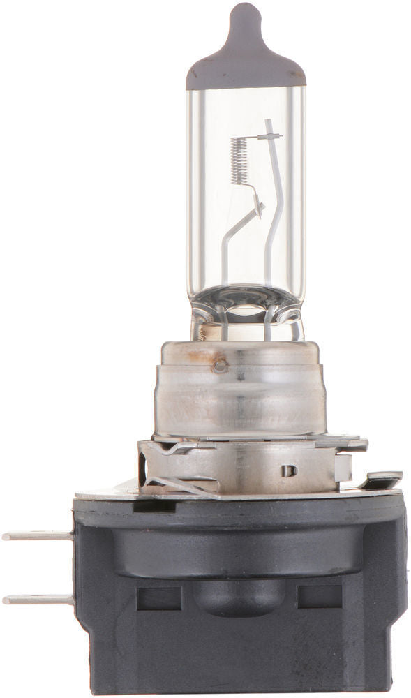 Low Beam Headlight  Philips  H11BB1