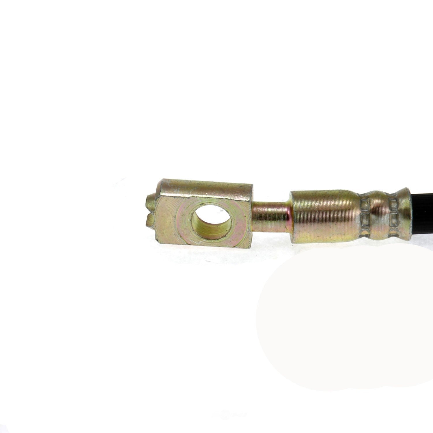 Rr Brake Hose  Centric Parts  150.22307
