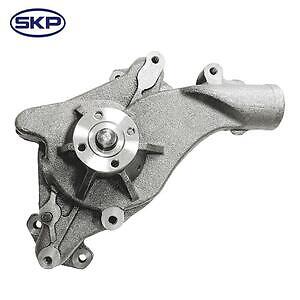 New Water Pump  Skyward Automotive  SK1259090