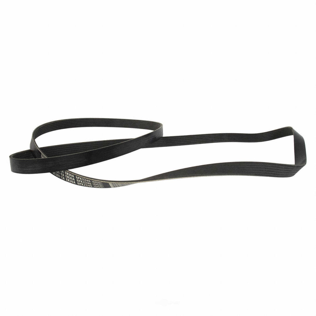 Serpentine Belt  Motorcraft  JK6-891