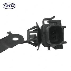 Frt Wheel ABS Sensor  Skyward Automotive  SK695890