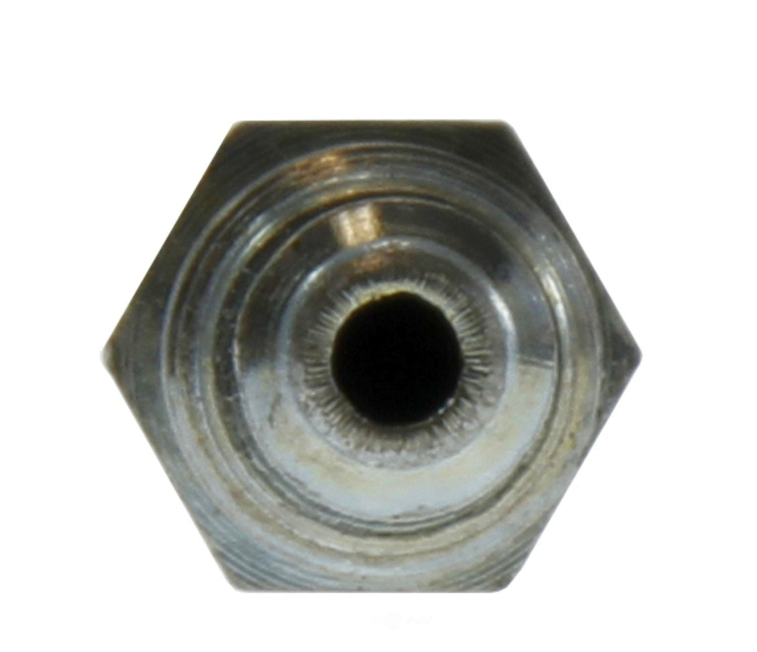 Rr Brake Hose  Centric Parts  150.39331