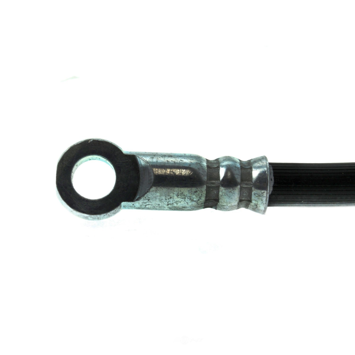 Frt Brake Hose  Centric Parts  150.46004