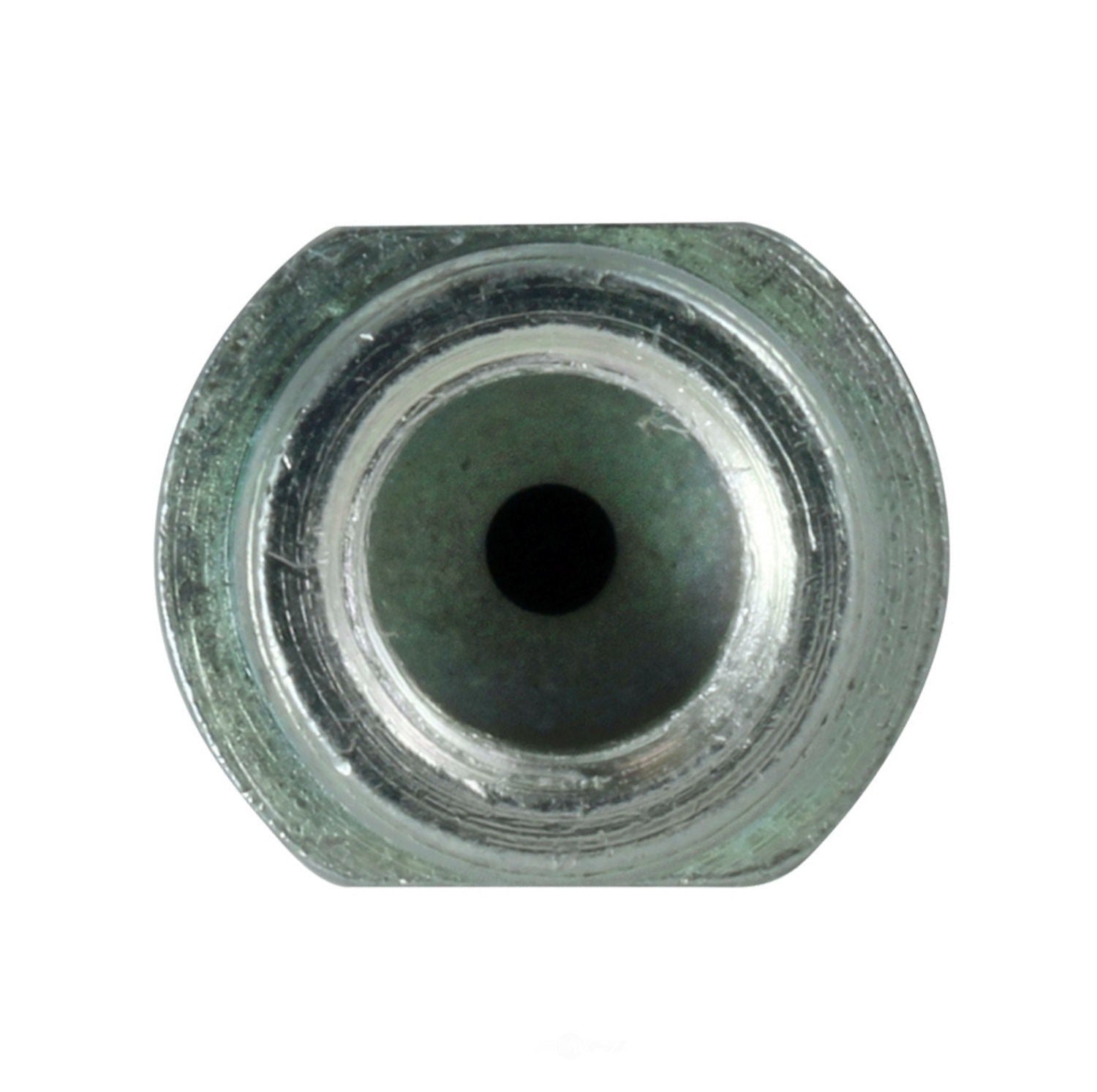 Rr Brake Hose  Centric Parts  150.51324