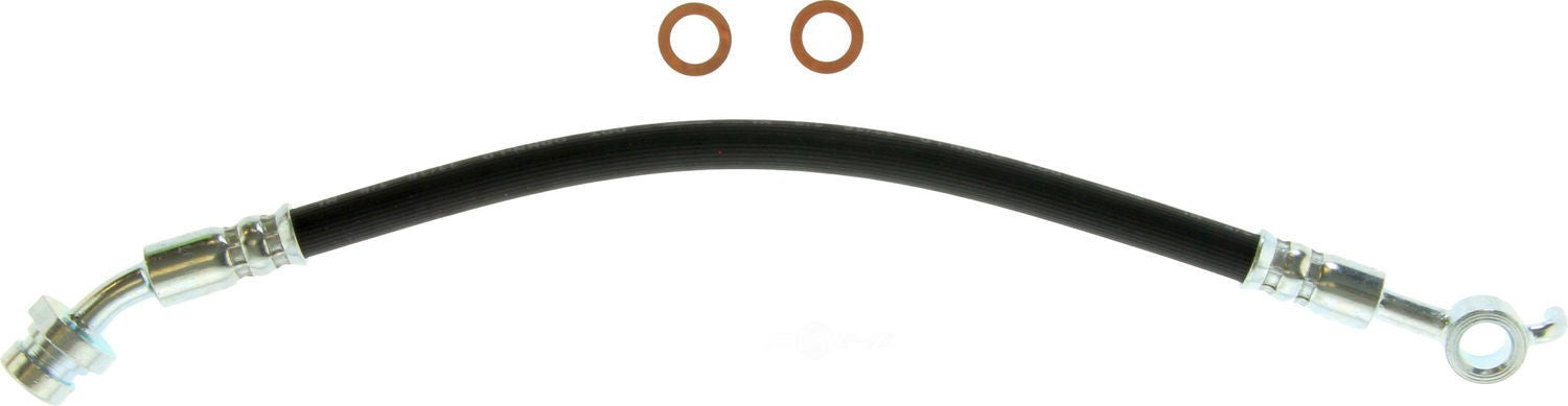 Rr Brake Hose  Centric Parts  150.51366
