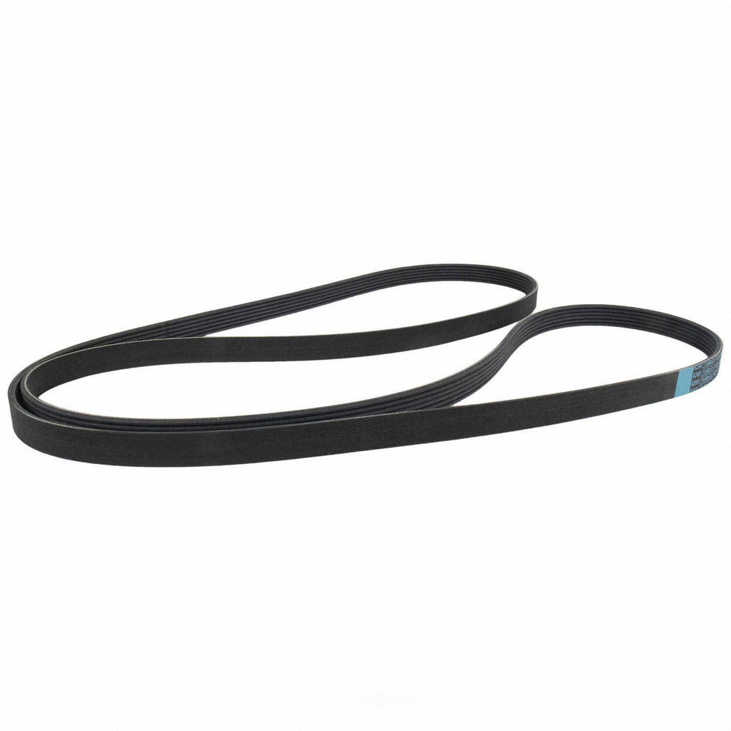 Serpentine Belt  Motorcraft  JK6-1064
