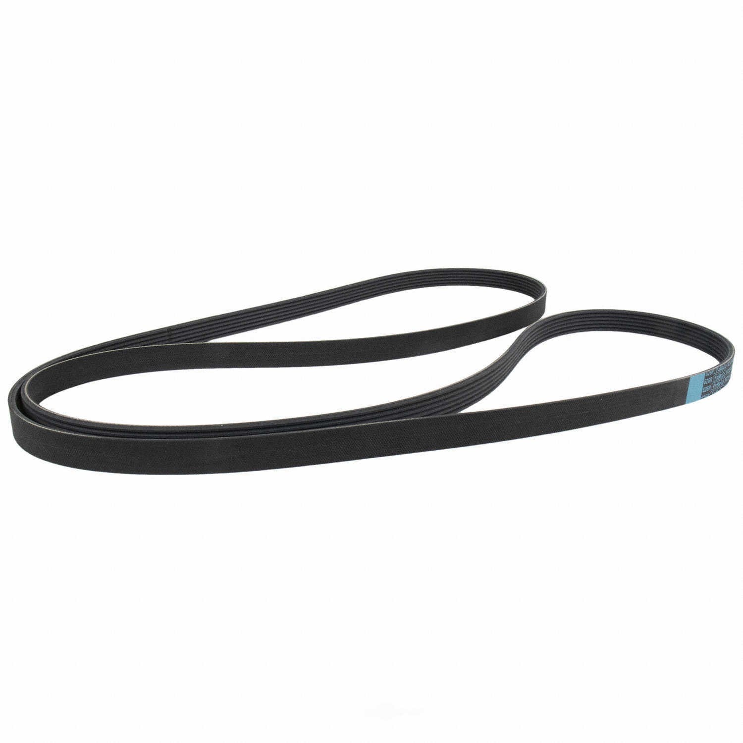 Serpentine Belt  Motorcraft  JK6-1064