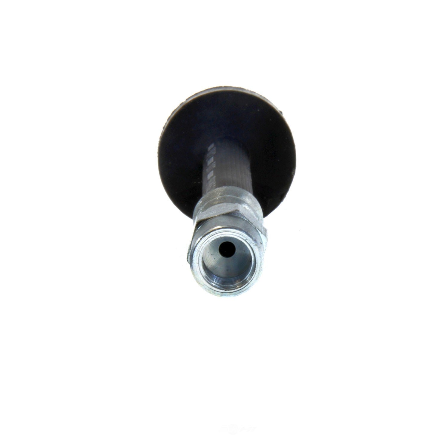 Rr Brake Hose  Centric Parts  150.33331