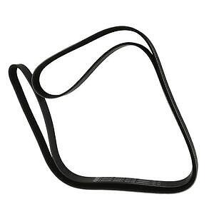 Serpentine Belt  Skyward Automotive  SK060875