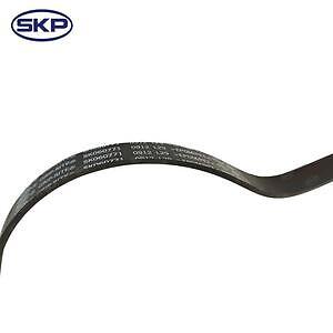 Serpentine Belt  Skyward Automotive  SK060771