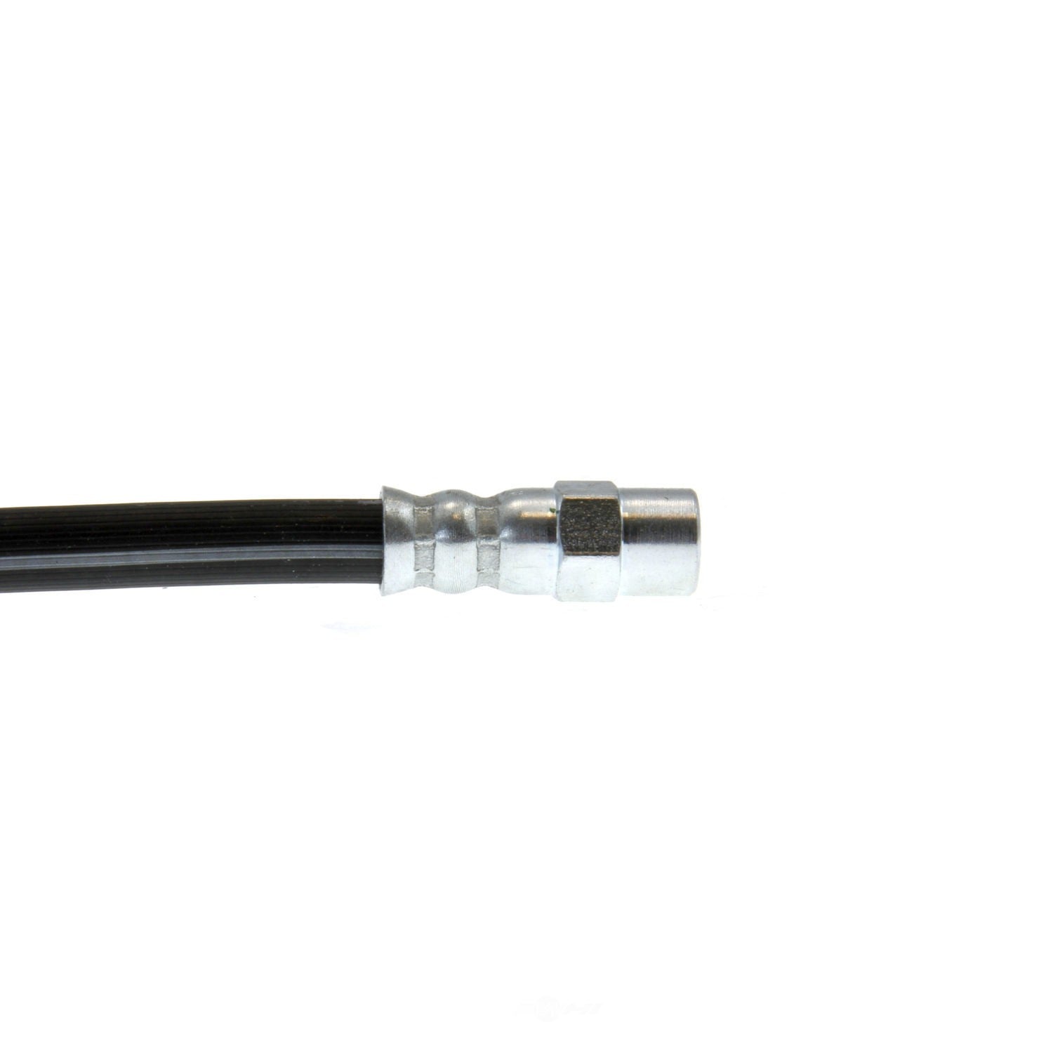 Rr Brake Hose  Centric Parts  150.33331