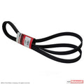 Serpentine Belt  Motorcraft  JK8-1263
