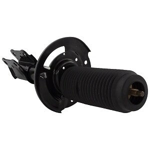 Frt Strut  Motorcraft  AST24724