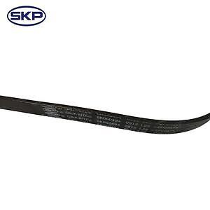 Serpentine Belt  Skyward Automotive  SK060494