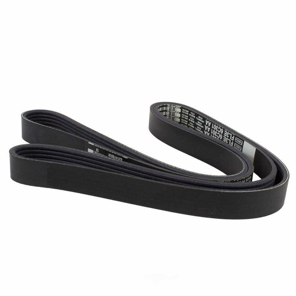 Serpentine Belt  Motorcraft  JK6-695