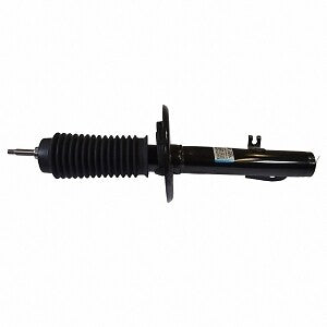 Frt Strut  Motorcraft  AST481
