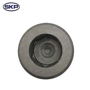 Diff Drain Plug  Skyward Automotive  SKY01451