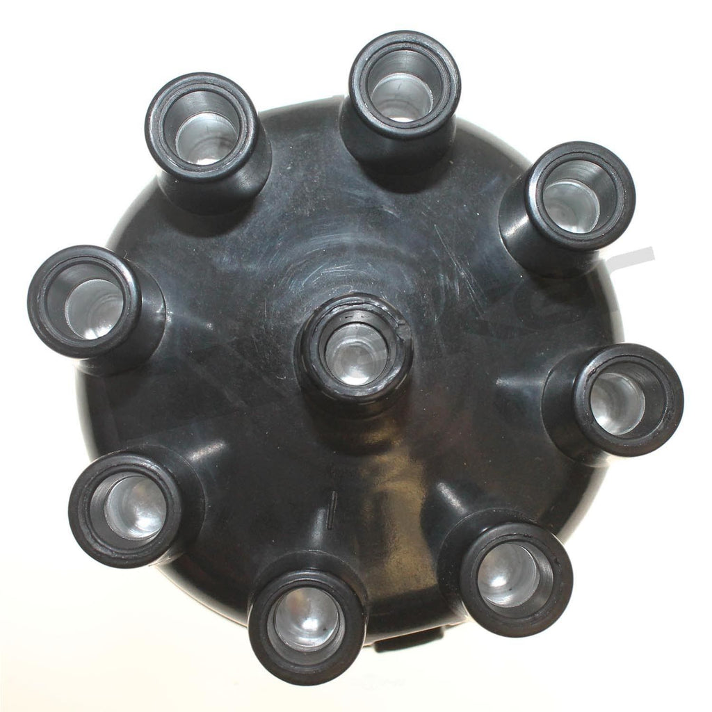Dist Cap  Walker Products  925-1014