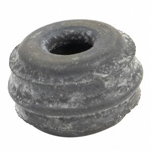 Bleeder Screw- Rr Disc  Motorcraft  BKBOE23
