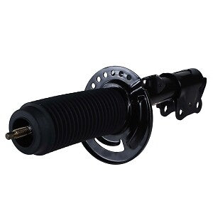 Frt Strut  Motorcraft  AST24729